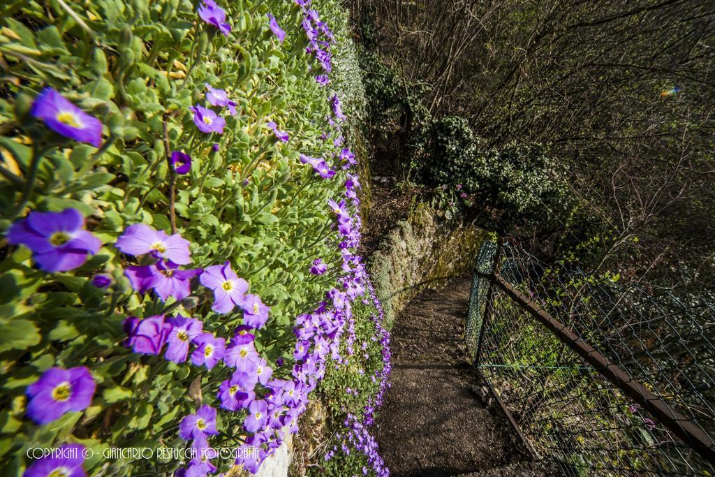 B&B Il Balcone Sul Lago Brunate Exterior photo